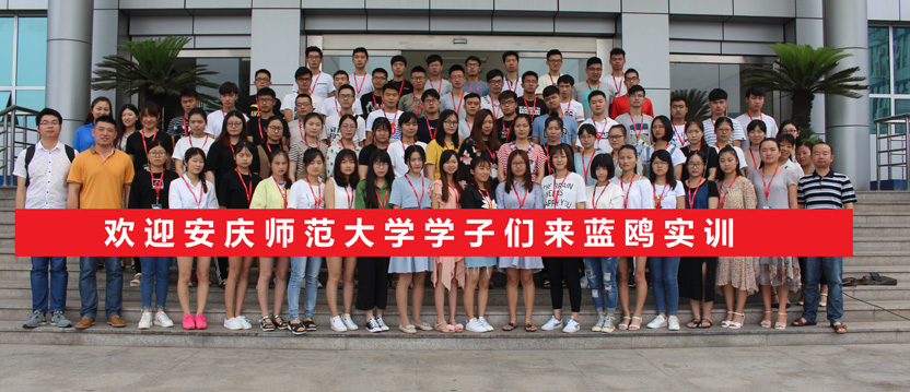 歡迎安慶師范大學(xué)學(xué)子們來藍(lán)鷗實訓(xùn)