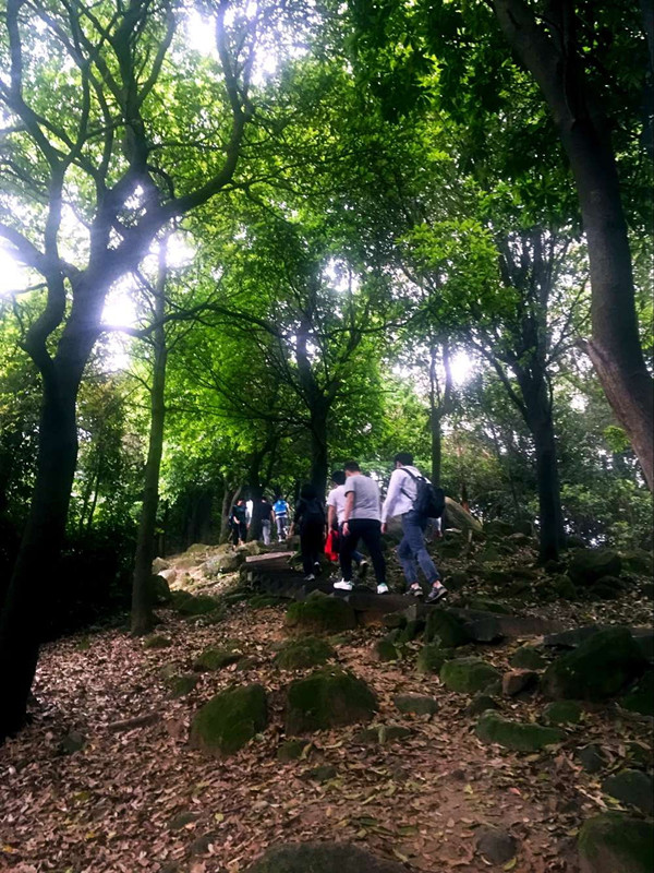 1491553692835117.jpg 徜徉在林間小道.jpg