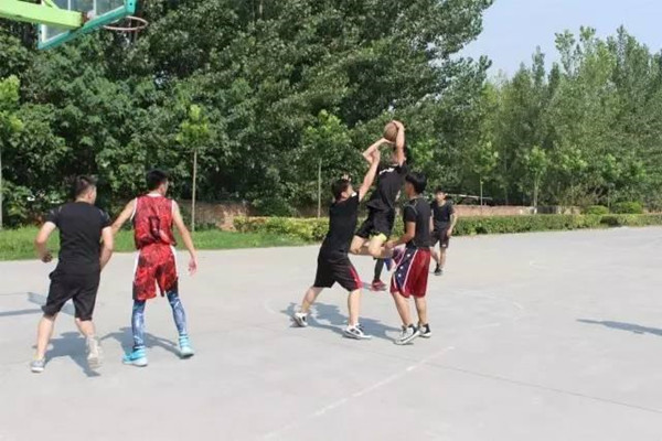 1502764510281343.jpg 31fc00029f7cf718f28e.jpg